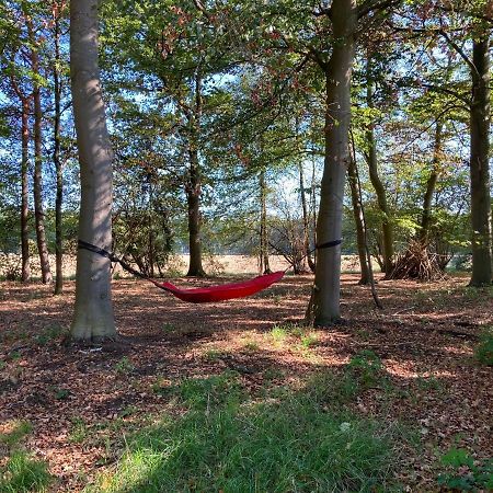 Zum Heuerling Ferienwohung Im Alten Stall Mit Sauna Versmold Exteriér fotografie