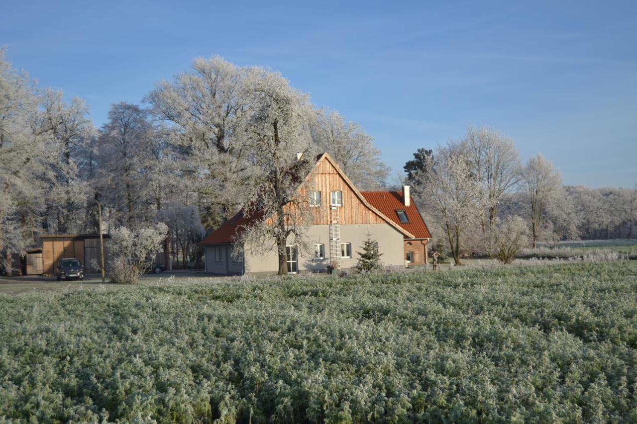 Zum Heuerling Ferienwohung Im Alten Stall Mit Sauna Versmold Exteriér fotografie