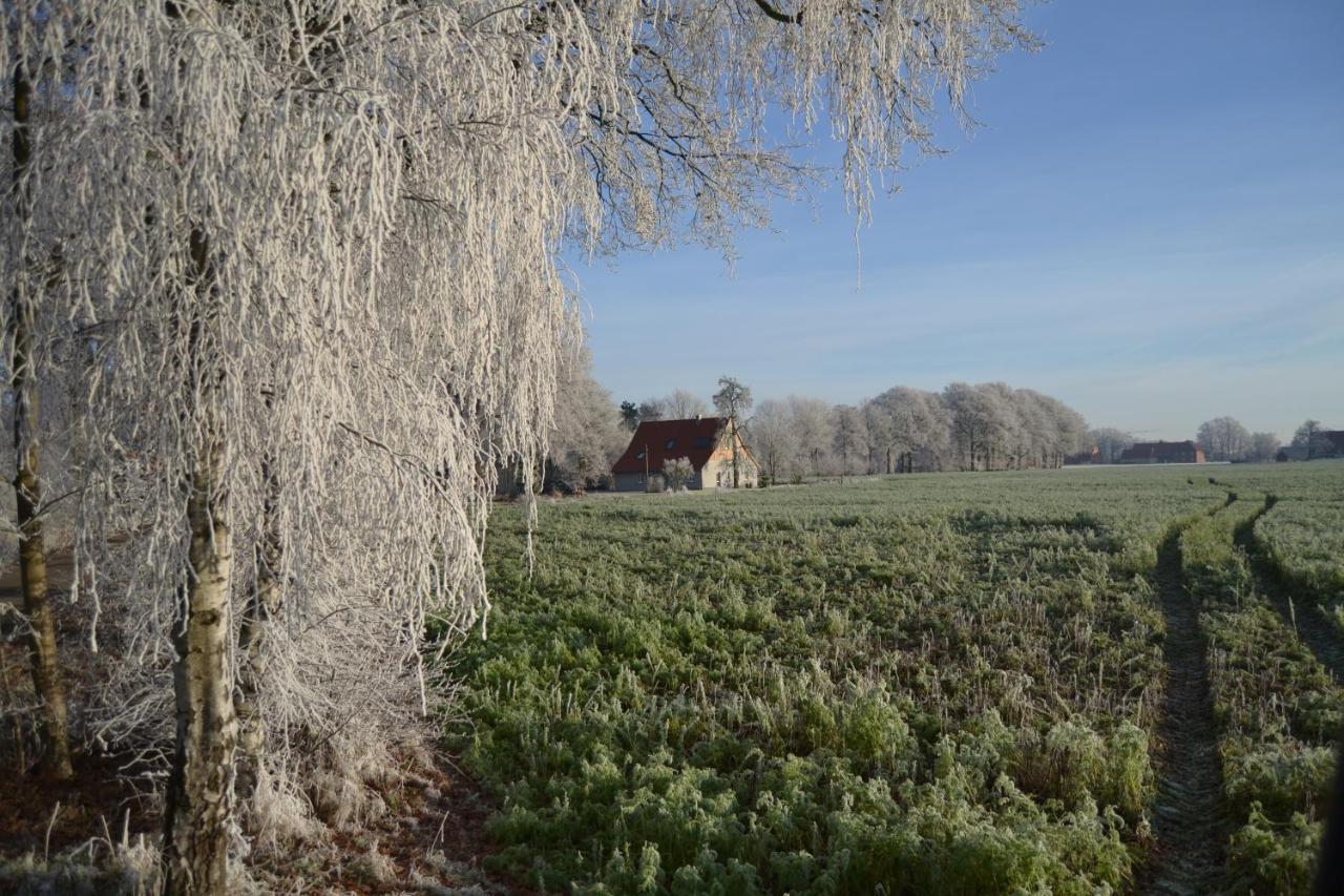 Zum Heuerling Ferienwohung Im Alten Stall Mit Sauna Versmold Exteriér fotografie
