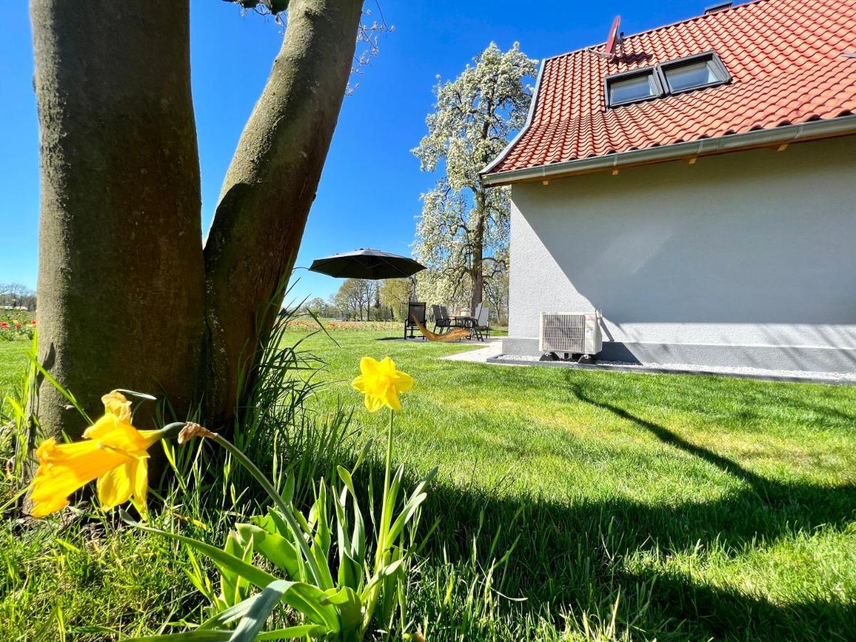 Zum Heuerling Ferienwohung Im Alten Stall Mit Sauna Versmold Exteriér fotografie