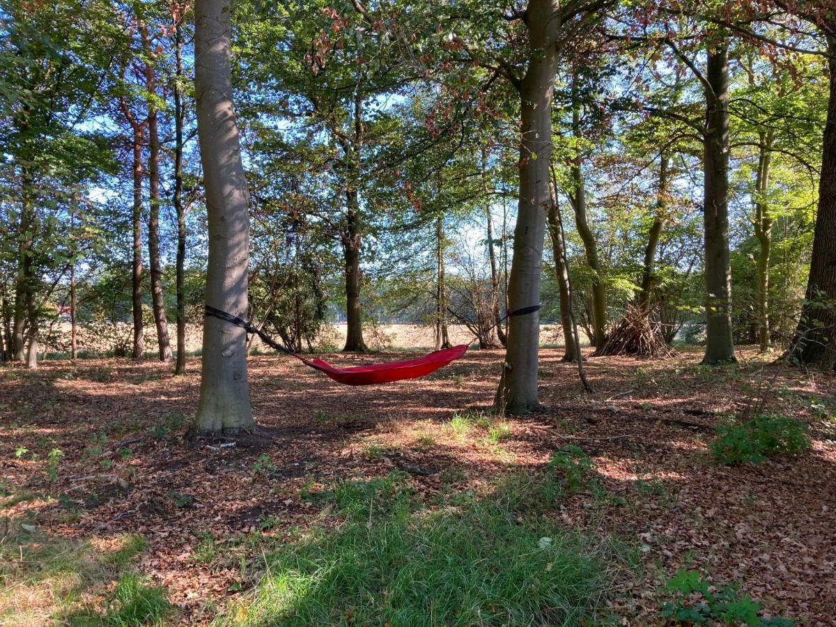 Zum Heuerling Ferienwohung Im Alten Stall Mit Sauna Versmold Exteriér fotografie